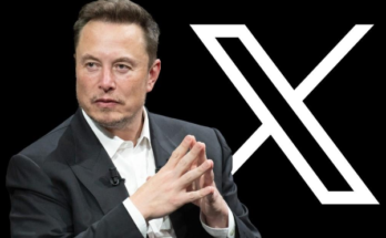 elon musk buys xvideos